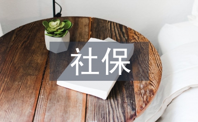 社保系統會計工作計劃