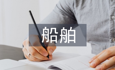 船舶專業(yè)專業(yè)技術(shù)總結(jié)