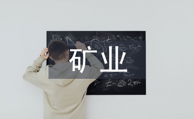 礦業(yè)公司工作總結
