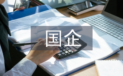 國企工作報(bào)告