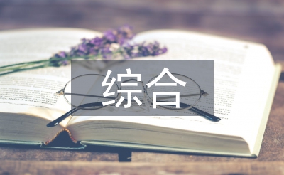 村級綜合研判報告