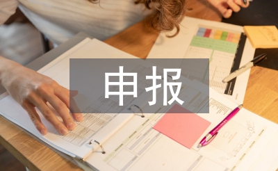申報工程師個人總結(jié)