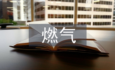 燃?xì)獗紤?yīng)急演練總結(jié)