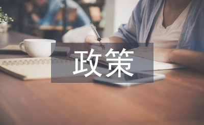 新經(jīng)濟(jì)政策的弊端