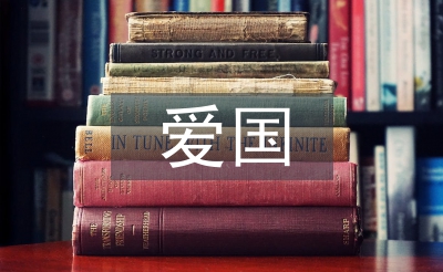 愛國活動(dòng)總結(jié)