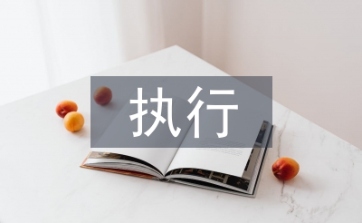 執(zhí)行工作總結(jié)