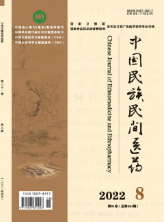 中國(guó)民族民間醫(yī)藥雜志