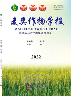 麥類作物學(xué)報(bào)雜志