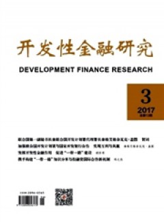開發(fā)性金融研究