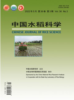 中國(guó)水稻科學(xué)雜志