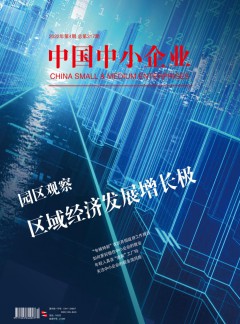 中國(guó)中小企業(yè)雜志