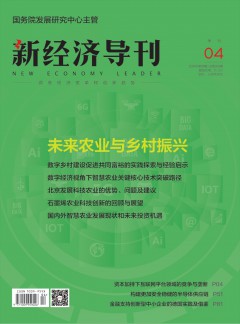 新經(jīng)濟(jì)導(dǎo)刊