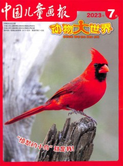 動物大世界雜志