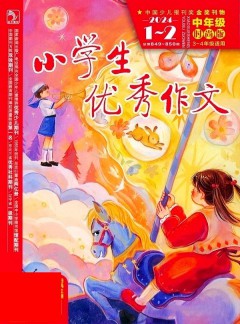 小學生優(yōu)秀作文雜志