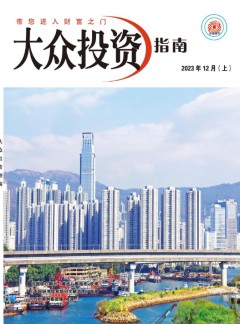 大眾投資指南