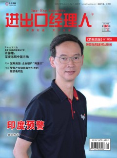 進出口經(jīng)理人