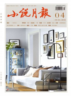 小說(shuō)月報(bào)雜志