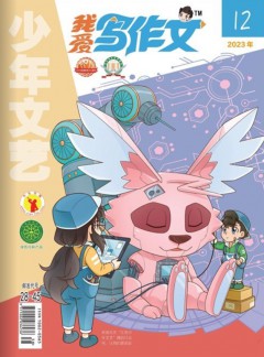 我愛(ài)寫(xiě)作文雜志