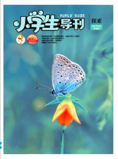 小學(xué)生導(dǎo)刊·中年級(jí)雜志
