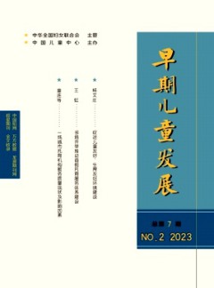 早期兒童發(fā)展雜志