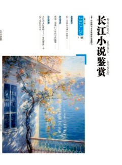 長(zhǎng)江小說(shuō)鑒賞雜志
