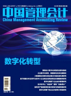 中國管理會(huì)計(jì)雜志