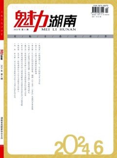 魅力湖南雜志